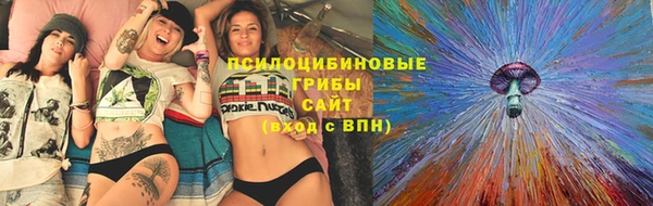 PSILOCYBIN Нефтекумск
