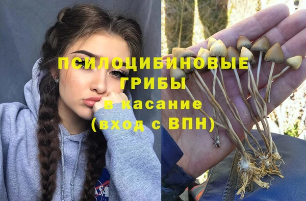 гидра Нея