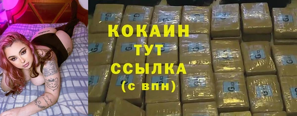 гидра Нея